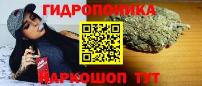 индика Первоуральск