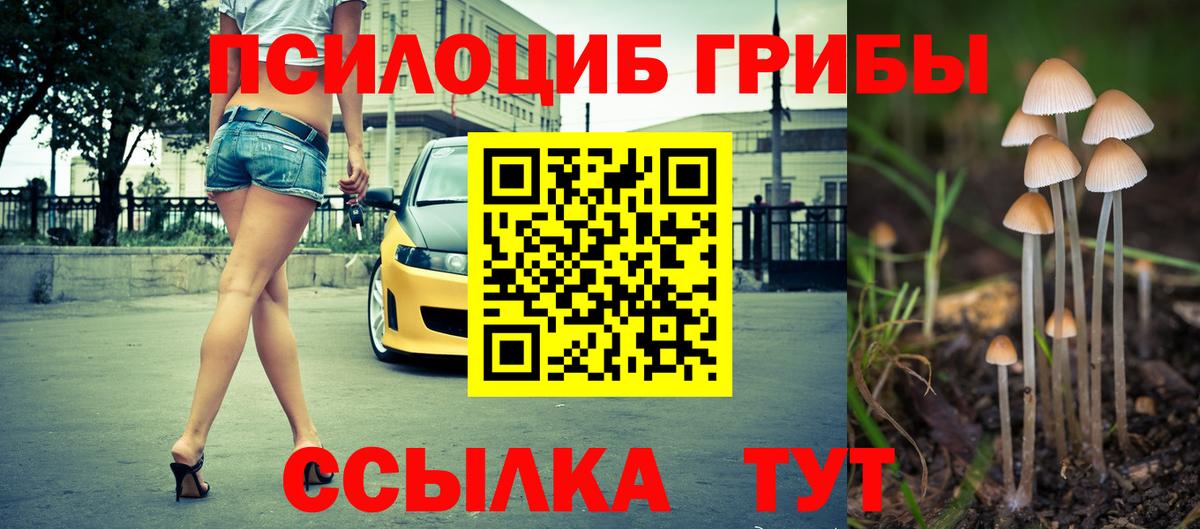 Псилоцибиновые грибы Psilocybine cubensis Тайшет