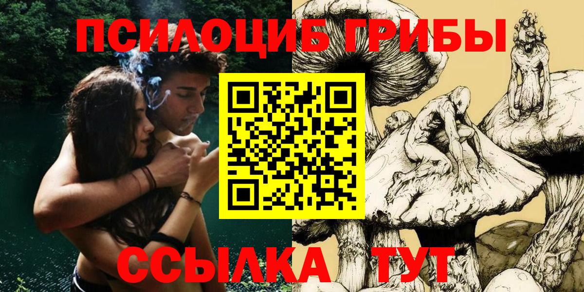 Псилоцибиновые грибы Cubensis  Вход с VPN  Тайшет 