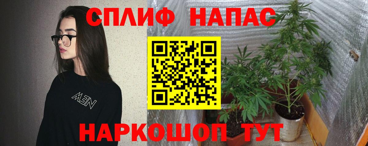 Марихуана Amnesia  Вход с VPN  Конопля конопля  Тайшет  Шишки марихуана тримм 